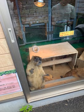 伊豆シャボテン動物公園に投稿された画像（2023/10/1）
