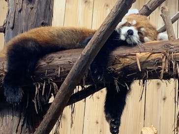 伊豆シャボテン動物公園に投稿された画像（2023/10/1）