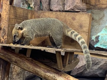 伊豆シャボテン動物公園に投稿された画像（2023/10/1）