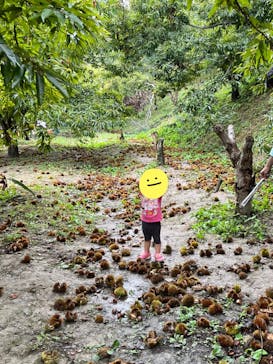 農業公園信貴山のどか村に投稿された画像（2023/10/2）