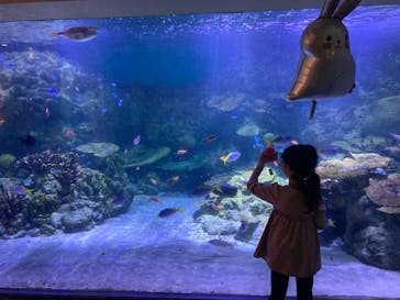 新江ノ島水族館に投稿された画像（2023/10/2）