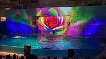 新江ノ島水族館に投稿された画像（2023/10/2）