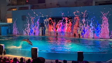 新江ノ島水族館に投稿された画像（2023/10/2）