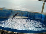 新江ノ島水族館に投稿された画像（2023/10/2）
