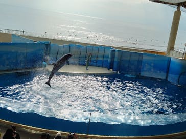 新江ノ島水族館に投稿された画像（2023/10/2）