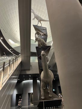 福井県立恐竜博物館に投稿された画像（2023/10/2）