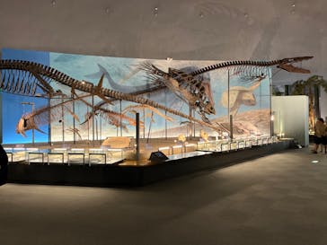 福井県立恐竜博物館に投稿された画像（2023/10/2）