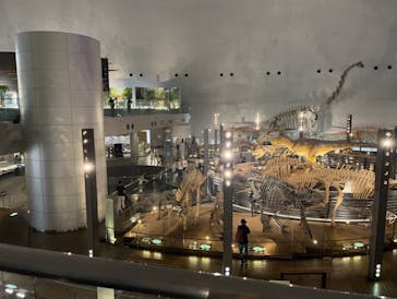 福井県立恐竜博物館に投稿された画像（2023/10/2）