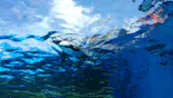 サンシャイン水族館に投稿された画像（2023/10/2）