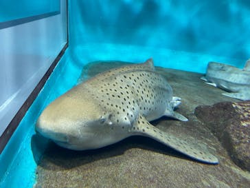 アクアワールド茨城県大洗水族館に投稿された画像（2023/10/2）