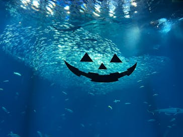 アクアワールド茨城県大洗水族館に投稿された画像（2023/10/2）