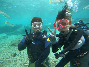 武藤潜水に投稿された画像（2023/10/2）