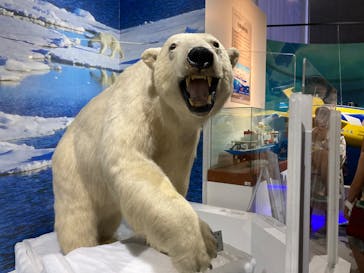 特別展「海　―生命のみなもと―」（国立科学博物館）に投稿された画像（2023/10/2）