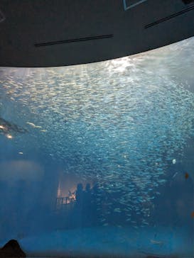 名古屋港水族館に投稿された画像（2023/10/2）
