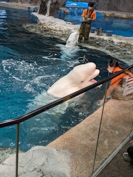 名古屋港水族館に投稿された画像（2023/10/2）