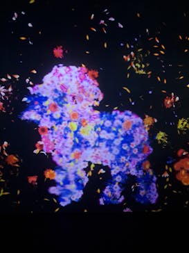 チームラボに投稿された画像（2023/10/2）