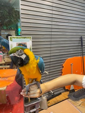 いきもの探検隊上尾に投稿された画像（2023/10/2）