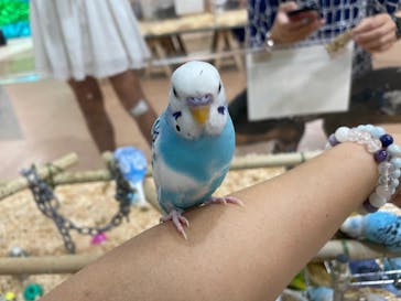 いきもの探検隊上尾に投稿された画像（2023/10/2）