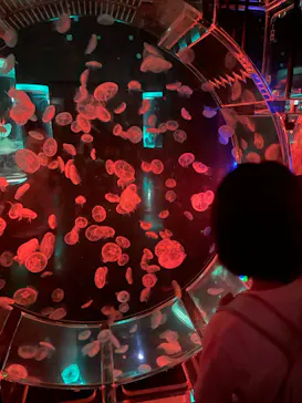 マクセル アクアパーク品川に投稿された画像（2023/10/2）