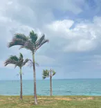 武藤潜水に投稿された画像（2023/10/2）