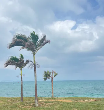 武藤潜水に投稿された画像（2023/10/2）