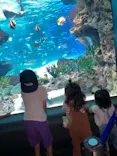 サンシャイン水族館に投稿された画像（2023/10/2）