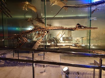 国立科学博物館に投稿された画像（2023/10/2）