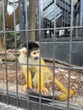 伊豆シャボテン動物公園に投稿された画像（2023/10/2）
