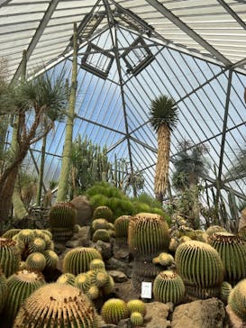 伊豆シャボテン動物公園に投稿された画像（2023/10/2）