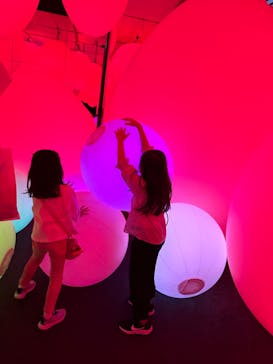 チームラボに投稿された画像（2023/10/2）