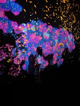 チームラボに投稿された画像（2023/10/2）