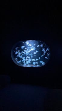 AOAO SAPPOROに投稿された画像（2023/10/2）