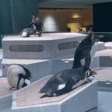 AOAO SAPPOROに投稿された画像（2023/10/2）