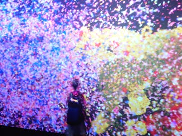 チームラボに投稿された画像（2023/10/2）