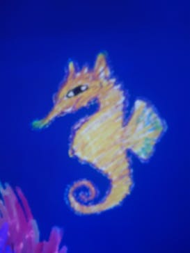 チームラボに投稿された画像（2023/10/2）