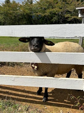 牧歌の里に投稿された画像（2023/10/2）