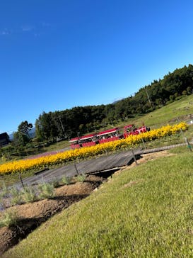 牧歌の里に投稿された画像（2023/10/2）