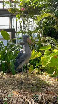 神戸どうぶつ王国に投稿された画像（2023/10/2）