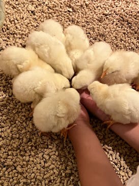 Moff animal cafe イオンモール幕張新都心店に投稿された画像（2023/10/2）