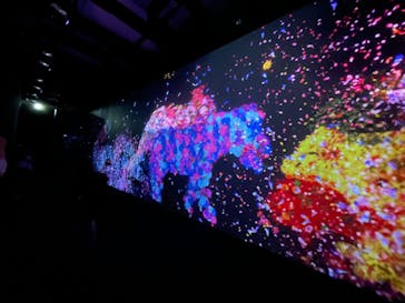 チームラボに投稿された画像（2023/10/2）