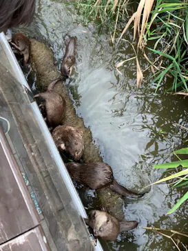 神戸どうぶつ王国に投稿された画像（2023/10/2）