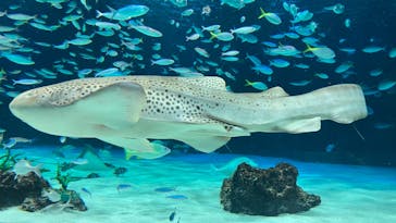 サンシャイン水族館に投稿された画像（2023/10/2）