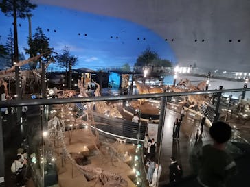 福井県立恐竜博物館に投稿された画像（2023/10/2）