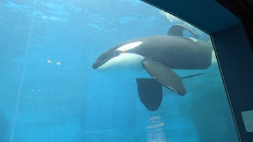 名古屋港水族館に投稿された画像（2023/10/2）