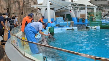 名古屋港水族館に投稿された画像（2023/10/2）