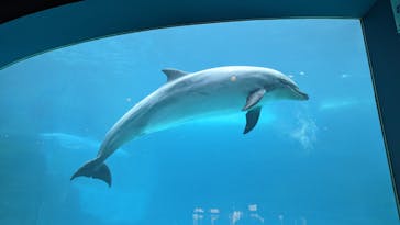 名古屋港水族館に投稿された画像（2023/10/2）