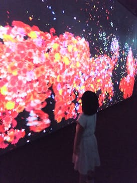 チームラボに投稿された画像（2023/10/2）