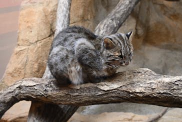 那須どうぶつ王国に投稿された画像（2023/10/2）