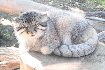 那須どうぶつ王国に投稿された画像（2023/10/2）