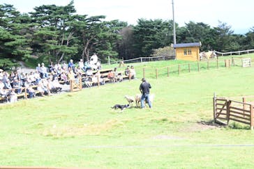 那須どうぶつ王国に投稿された画像（2023/10/2）